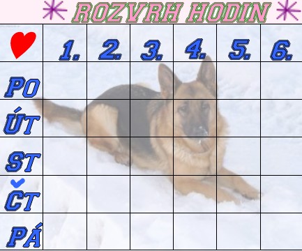rozvrh pes 8.jpg